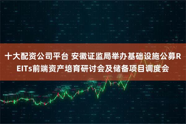 十大配资公司平台 安徽证监局举办基础设施公募REITs前端资产培育研讨会及储备项目调度会