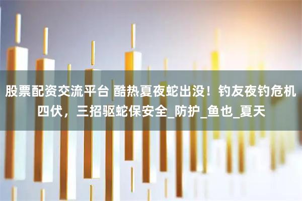 股票配资交流平台 酷热夏夜蛇出没！钓友夜钓危机四伏，三招驱蛇保安全_防护_鱼也_夏天