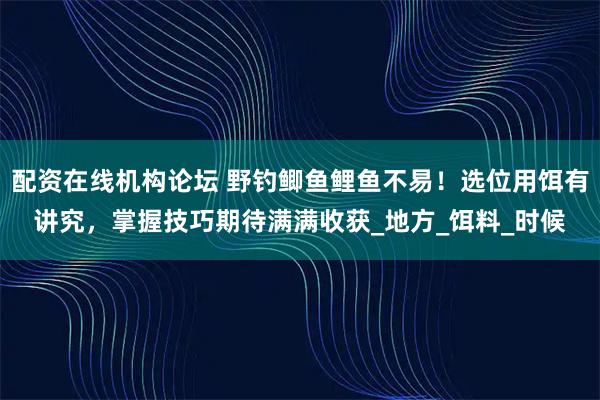 配资在线机构论坛 野钓鲫鱼鲤鱼不易！选位用饵有讲究，掌握技巧期待满满收获_地方_饵料_时候